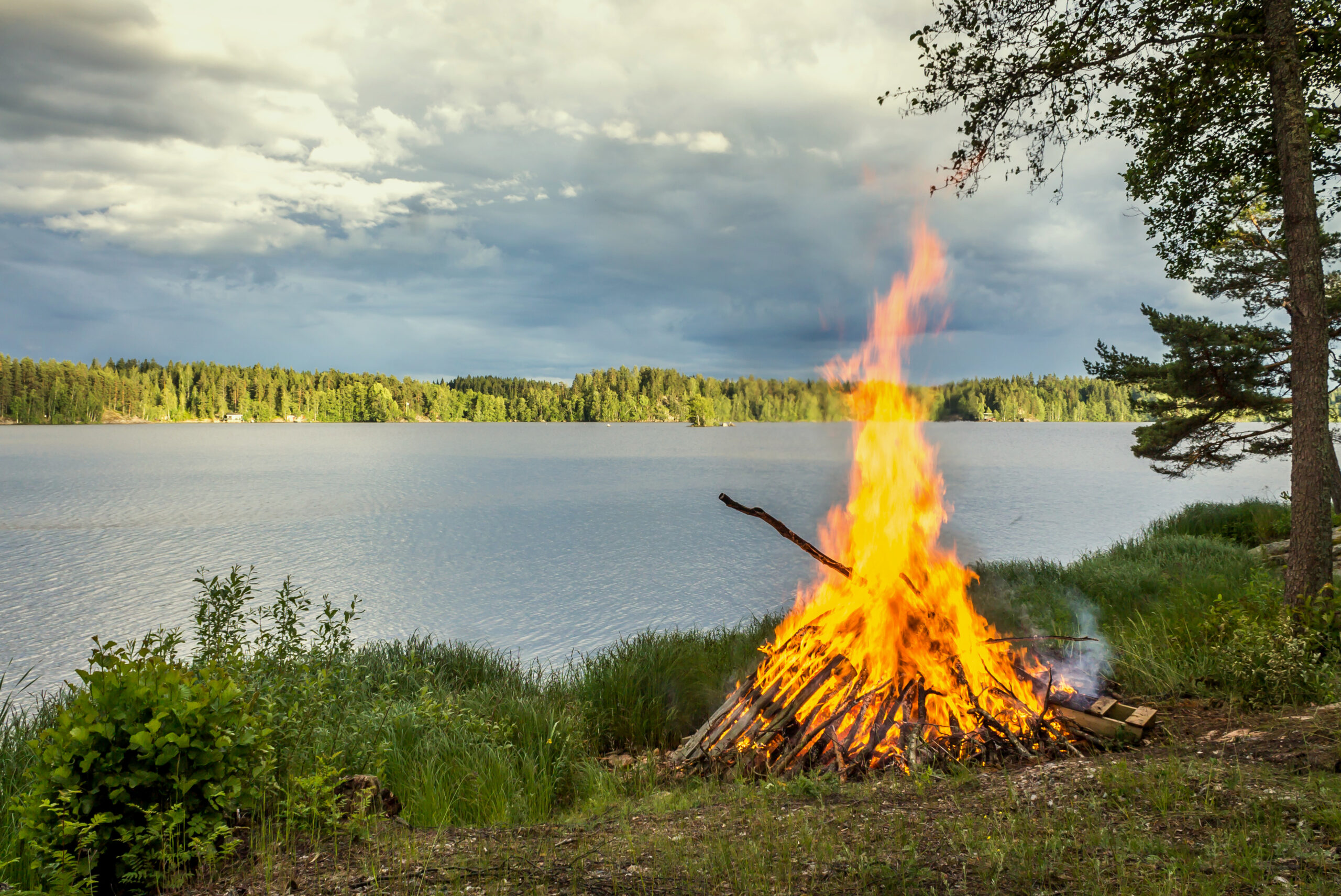 Juhannuskokko